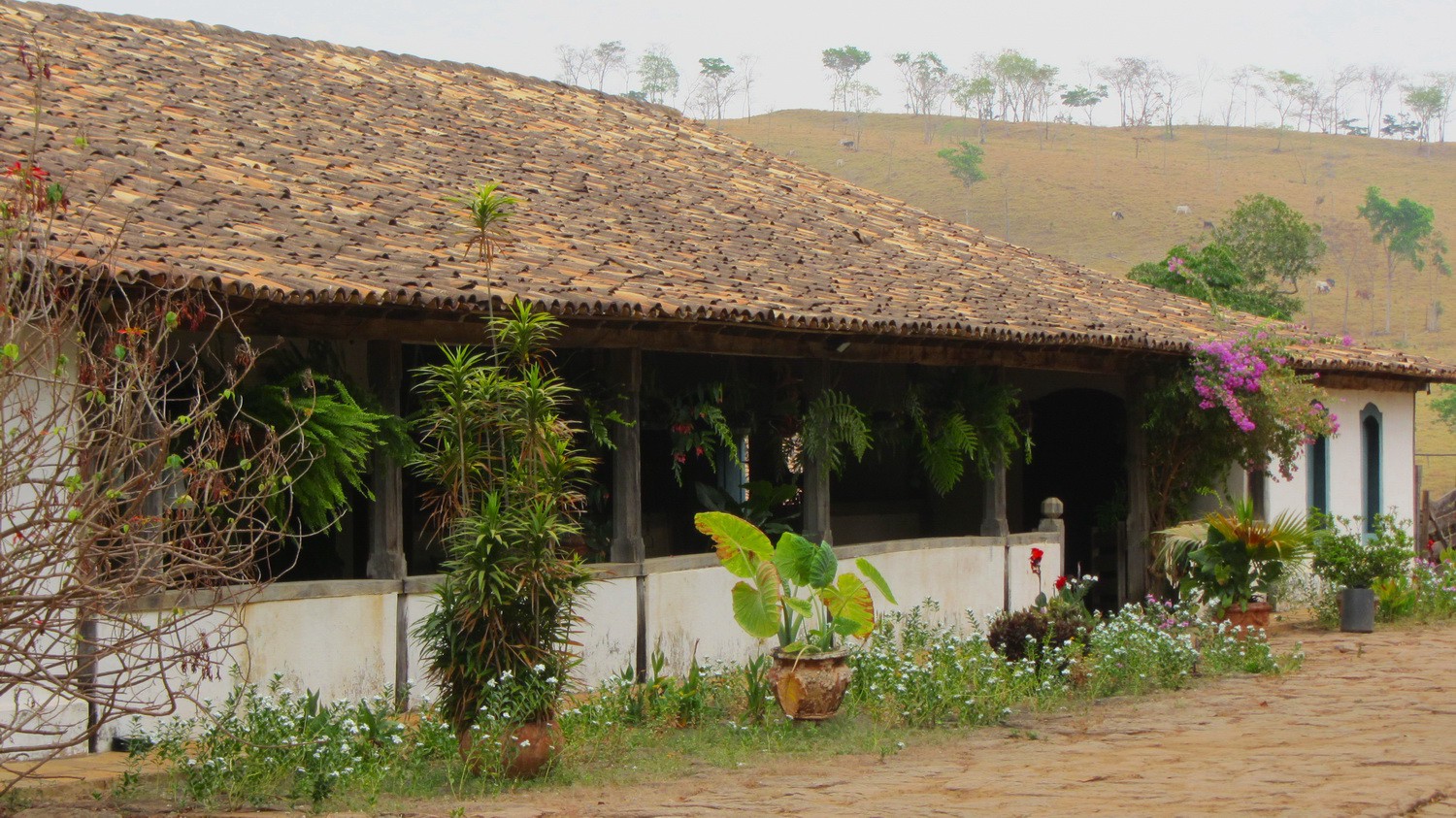 Main house of the farm Fazenda Babilonia